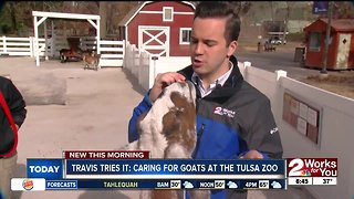 Travis Tries It: Goat keeping at the zoo