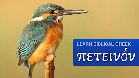 Lets Learn Biblical Greek — πετεινόν