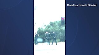 RAW VIDEO: Arrest of apparent homeless man in La Jolla