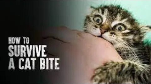 HOW TO SURVIVE A CAT BITE | Tech and Science |