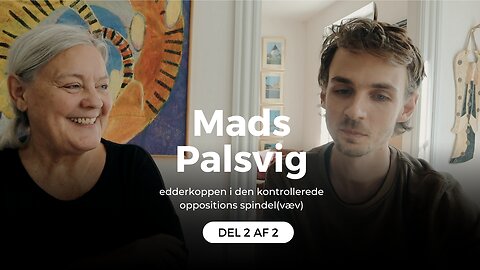 Mads Palsvig - edderkoppen i den kontrollerede oppositions spindel(væv) - del 2 af 2