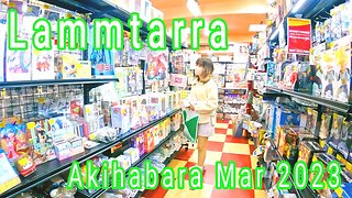 Lammtarra Akihabara shop 1st floor Mar 2023【GoPro】ラムタラ 秋葉原店 1階アイドル、アニメ、特撮、フィギュア 2023年3月