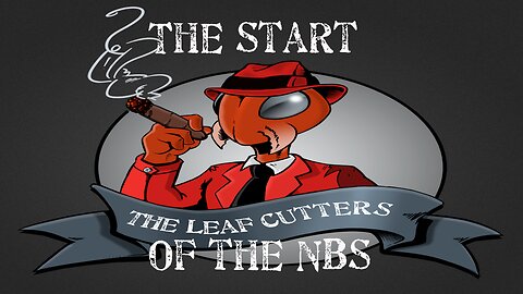 Short: The Start of the NBS