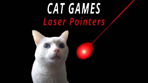 CAT GAMES: Laser Pointers!