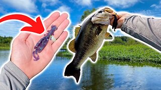 You are going to WISH you Bought THIS BAIT! (BEST Discontinued Bait EVER!)
