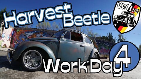 Harvest Beetle Work Day #4