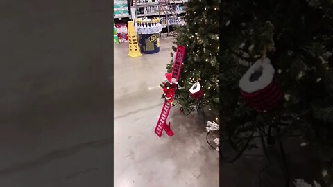 Christmas at Lowes.