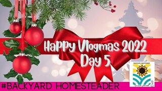 Vlogmas 2022 Day 5