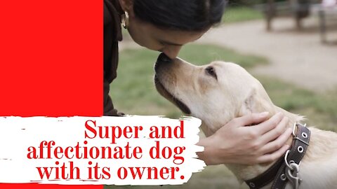 Super affectionate dog with its owner