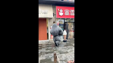 Naughty Bear Funny Video Ep-17