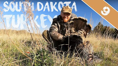 ARCHERY TURKEY DOWN - South Dakota Spring Turkey Hunting