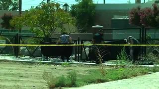 Bakersfield Police said a fetus was found at Mill Creek Park in Central Bakersfield Monday afternoon