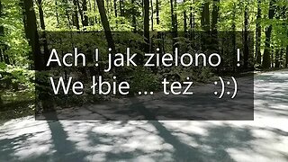 Ach ! jak zielono ! We łbie też :):)