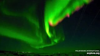 Colorful Auroras Dance Over Canada 🌟 01/13/23