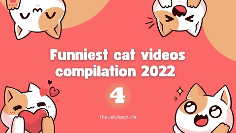 Funniest Cat Videos Compilation 2022😺 | Cats Can Make you Laugh within Minutes😹| Part 4