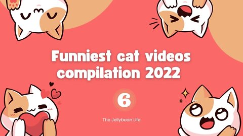 Funniest Cat Videos Compilation 2022😺 | Cats Can Make you Laugh within Minutes😹| Part 6