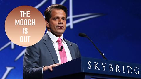 Celebs react to Scaramucci's dramatic exit