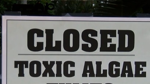 Business temporarily closes due to health concerns