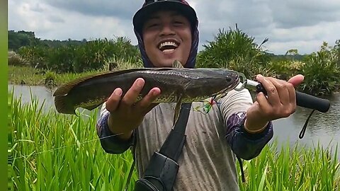 Casting Fishing on the Edge of the Overflowing Lake // Satisfying Results