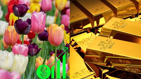 Tulips Are More Expensive Than Gold: 7 Weird Facts That'll Make You Question Everything