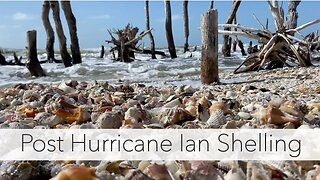 Post Hurricane Shelling - Hurricane Ian Southwest Florida 2022