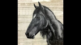 Horse Painting - Acrylic Painting Time Lapse