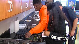 Tradewinds Middle School students growing endangered orchids