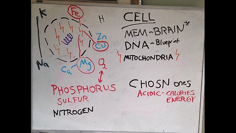 Health Alkemy Public Shares - WAPF Talk Part 5 The Best Diet Is...? And Microbial Over-Eating Cues?