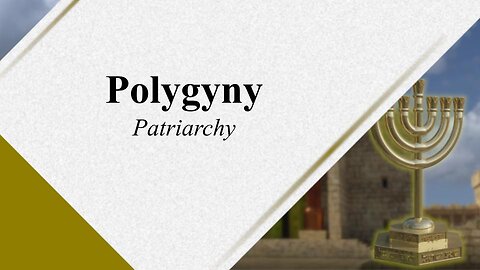 Polygyny 105 - Patriarchy