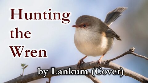 Hunting the Wren by Lankum (Cover)