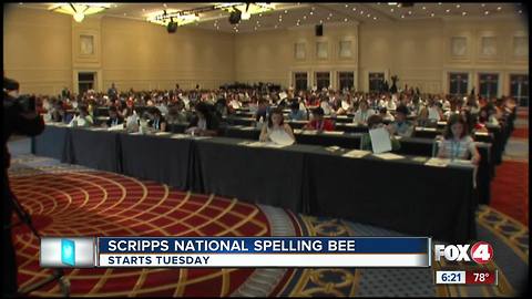 Florida students gearing up for the National Spelling Bee