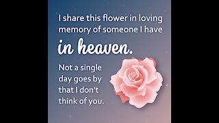 Sharing Flower Someone in Heaven [GMG Originals]