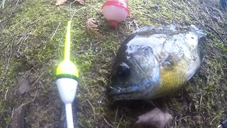 How to Setup/Rig/Tie a Fishing Bobber or Float! Easy! | How to fish from shore (part 2)