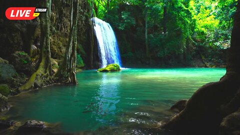 🔴Waterfall Sounds White Noise, Gentle Waterfall, Nature Sound, Flowing Water, Meditation