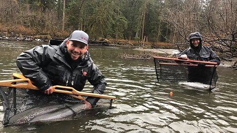 THE BEST STEELHEAD FISHING IN THE ENTIRE WORLD!!