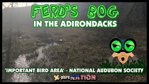 Ferd's Bog: West-Central Adirondacks near Eagle Bay, NY