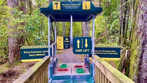 Boot washing machine to prevent Kauri Dieback.