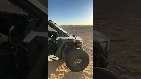 Riding on sunshine soaked dunes #shorts #glamis