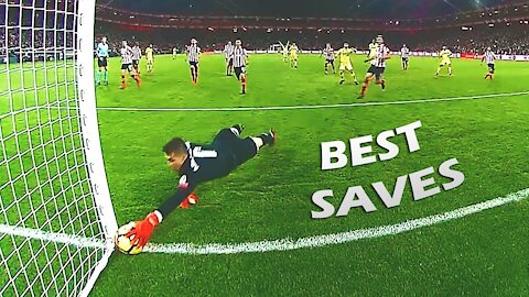 Legendary Goalkeeper Saves in Soccer!