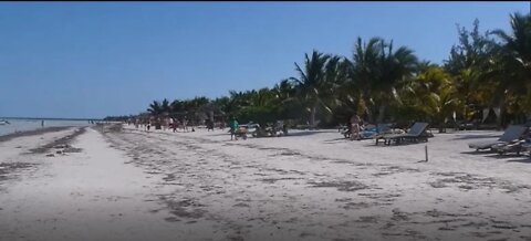 Taking a Look at the Main Beach on Isla Holbox, Yucatan, Mexico