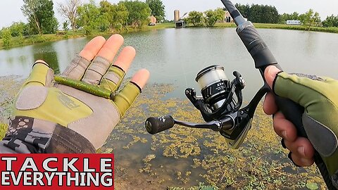 Does FINESSE Fishing Really CATCH MORE Bass