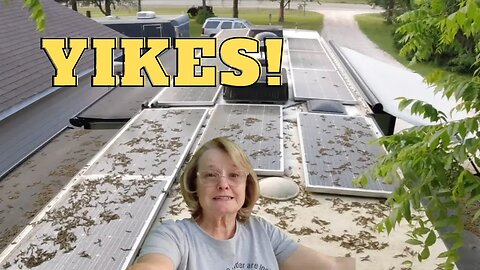 RV Roof Maintenance #yikes!