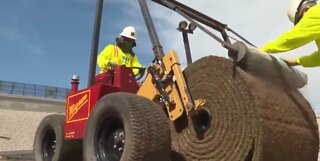 Field installation begins for Allegiant Stadium