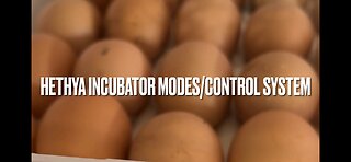 Hethya Incubator modes/control system
