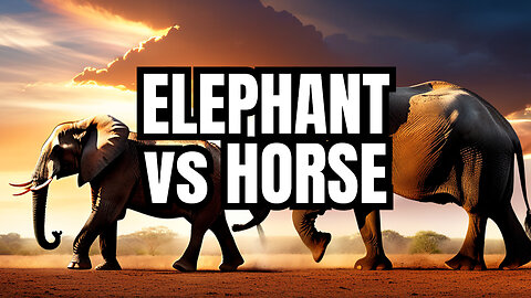 Elephant vs Horse: The Ultimate Showdown