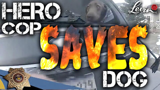 Hero Cop Saves Dog from Car on Fire