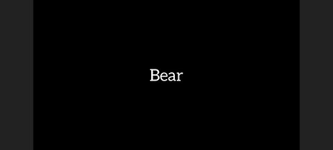 Bear Asmr Story