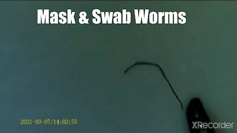 Mask & Swab Worms