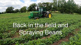 Back in the field and spraying beans