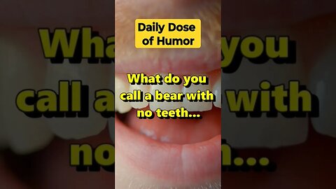 "What do you call a bear with no teeth..." #shorts #Funny #Subscribe